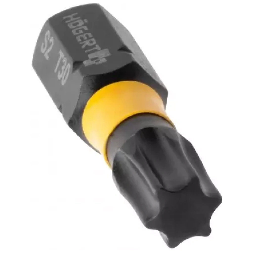 Bity udarowe 20 szt TX 30 25 mm - HOEGERT HT1S702